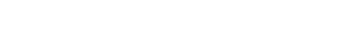 Holotronica logo